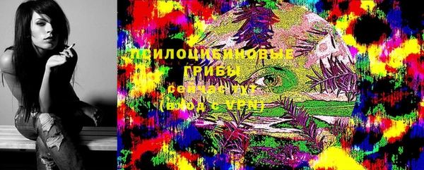 ешки Алзамай