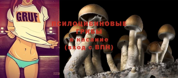 ешки Алзамай